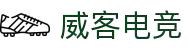 威客电竞(vk)·电子竞技赛事官网