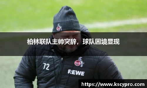 威客电竞APP