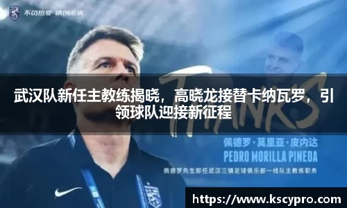威客电竞下载