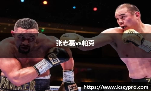 张志磊vs帕克